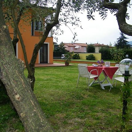 Triolivo B&B Lucca Dış mekan fotoğraf