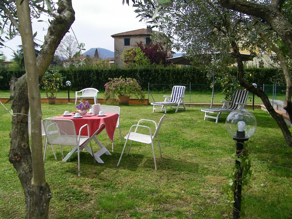 Triolivo B&B Lucca Dış mekan fotoğraf