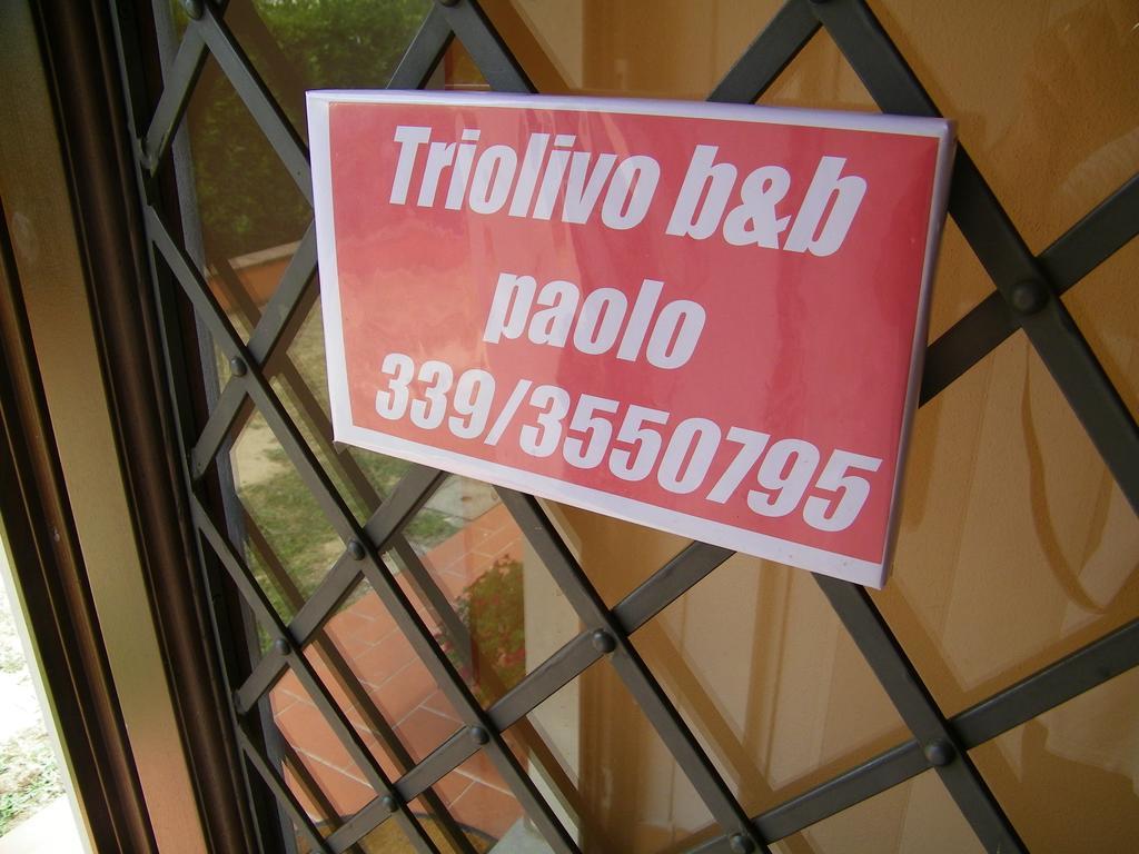 Triolivo B&B Lucca Dış mekan fotoğraf